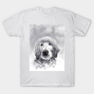 Young golden retriever T-Shirt